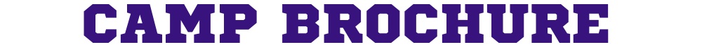 NAZBrochurePURPLE